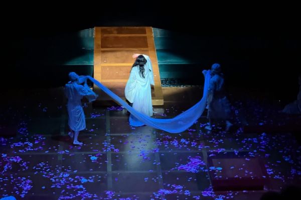 MADAMABUTTERFLY-WAO